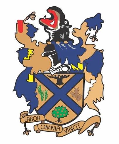 Chiredzi Town Council